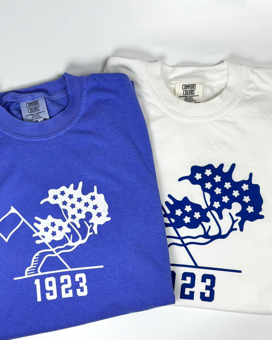 East Potomac Golf Links Centennial T-shirt